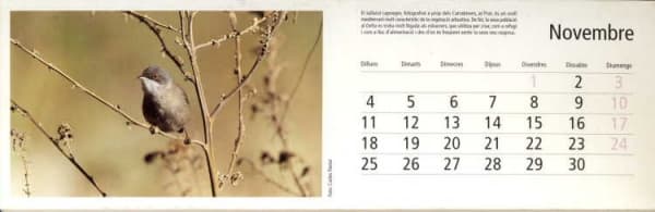 Calendari. Tallarol capnegre